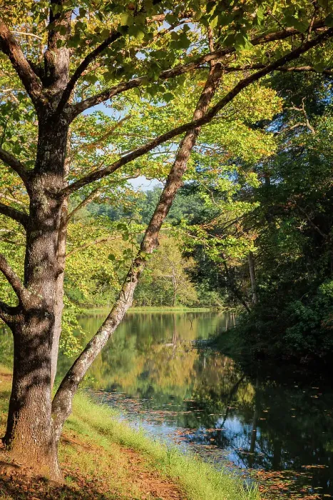 Framed Print : Otter Lake, Blue Ridge Parkway, Smoky Mountains, USA. Date: 04-10-2018 Framed Print : Otter Lake, Blue Ridge Parkway, Smoky Mountains, USA. Date: 04-10-2018