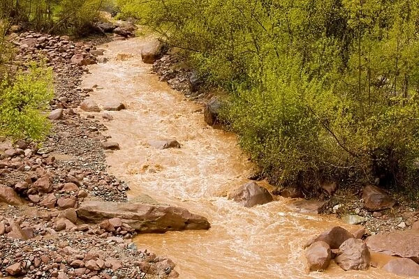 The Ourika river in spate after heavy rain, showing how much material is eroded from mountains. The High Atlas (Haut Atlas) mountains, Morocco