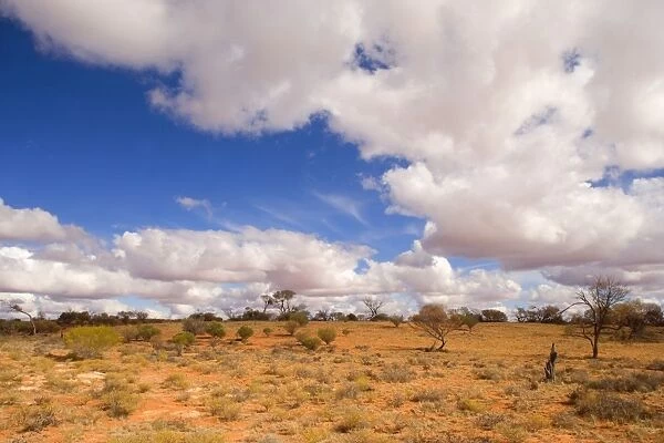 Outback and clouds - rare clouds are forming over the arid outback in South Australia - near Lake Hart, South Australia, Australia