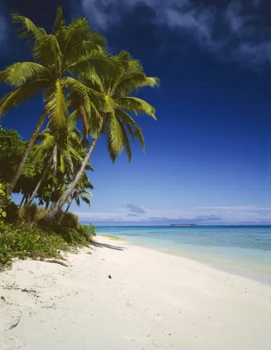 Framed Print : Ovalau Island tropical beach scene with palm trees - Vava'u Group - Tonga JLR06089 Framed Print : Ovalau Island tropical beach scene with palm trees - Vava'u Group - Tonga JLR06089