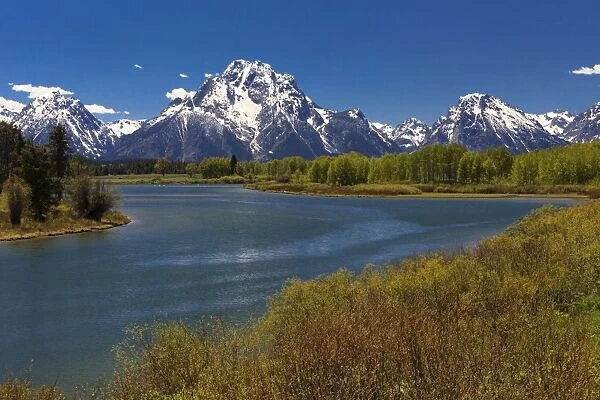 Oxbow Bend - on the Snake River in June Grand Teton
