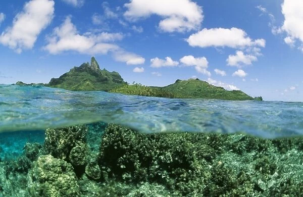 Pacific KA 326 Coral reef and Volcanoes split level shot. Bora Bora Island, Polynesia © Kurt Amsler  /  ARDEA LONDON