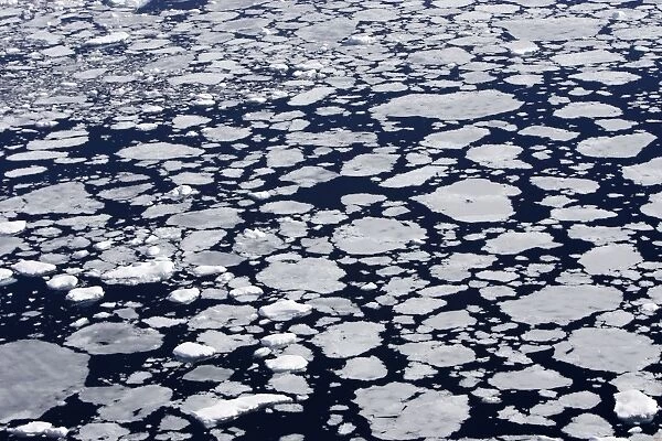 Pack Ice in Antarctica - Pancake ice
