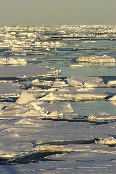 Pack Ice. Nord Svalbard. Spitzberg