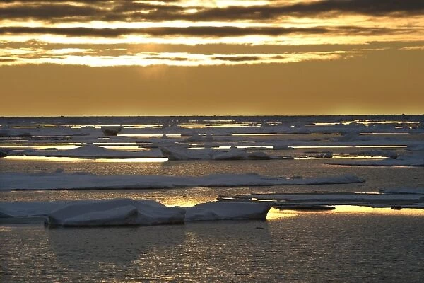 Pack ice - North spitzberg - Svalbard Norge