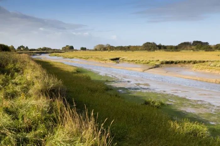 Framed Print : Pagham RSPB Reserve - West Sussex - UK Framed Print : Pagham RSPB Reserve - West Sussex - UK