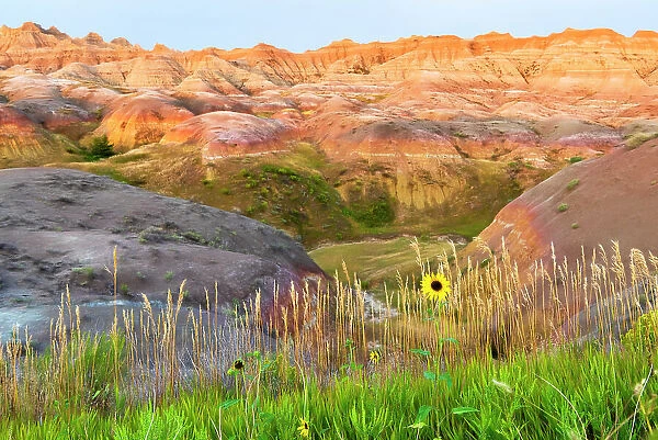 A painterly image of softer hoodoos set against a row of wildflowers and grass. Date: 30-08-2021