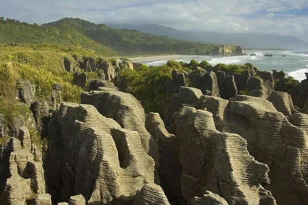 Pancake Rocks famous flat limestone rock formations at Punakaiki with rainforest-clad coastline Paparoa National Park, West Coast, South Island, New Zealand