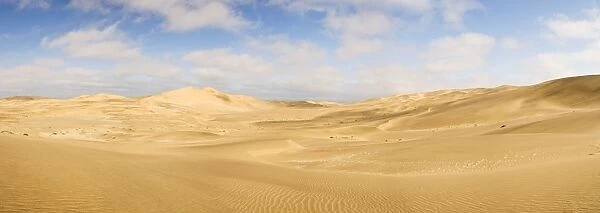 Panorama of the Dune Sea - Dune Fields - Namib Desert - Namibia - Africa