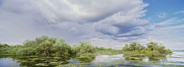 Panorama of lakes and channels in the Danube
