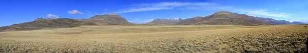 Panoramic landscape. Magallanes Peninsula - Patagonia - Argentina