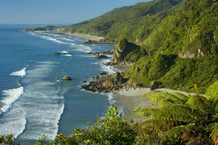 Framed Print : Paparoa coastline breathtaking rugged coastline of Paparoa National Park just north of Punakaiki with lush rainforest reaching down to the beach Paparoa National Park, West Coast, South Island, New Zealand Framed Print : Paparoa coastline breathtaking rugged coastline of Paparoa National Park just north of Punakaiki with lush rainforest reaching down to the beach Paparoa National Park, West Coast, South Island, New Zealand
