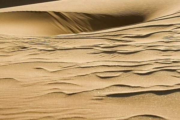 Pattern in the sand created by the wind - Dune Fields - Namib Desert - Namibia - Africa