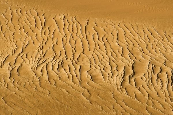 Pattern in the sand created by the wind - Dune Fields - Namib Desert - Namibia - Africa