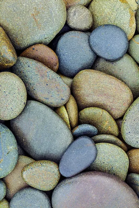 Framed Print : Pattern of smooth rounded stones on beach, Olympic National Park, Washington State Date: 21-06-2013