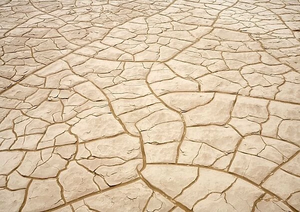 Patterns formed by cracked clay - Dune Fields - Namib Desert - Namibia - Africa