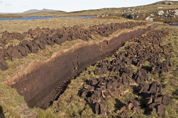 Peat cutting - peat used for domestic fires - North Uist - Outer Hebrides - Scotland