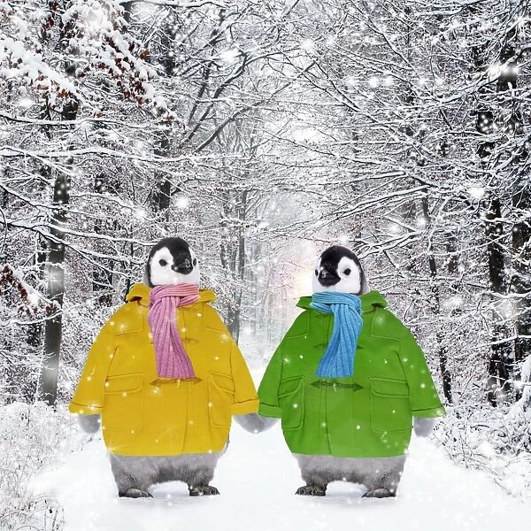 Penguins - in duffle coats & scarves - holding hands Digital Manipulation: Penguins WAT - Coat & Scarf SU - added snow