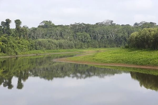 Peru Manu Wildlife Reserve