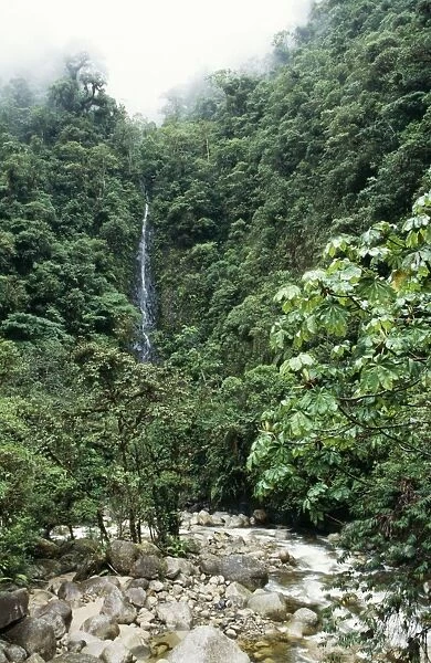 Peru Waterfall in the Cloud Forest, Manu National Park