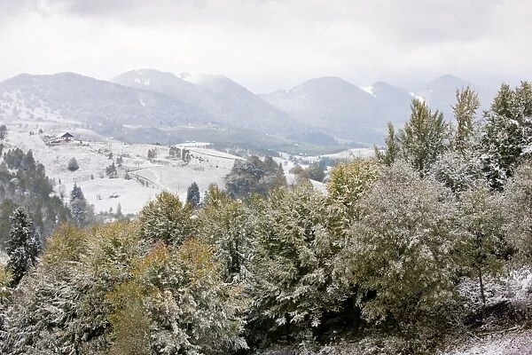 The Piatra Craiulu mountains, National Park in snow; southern Carpathians, Romania
