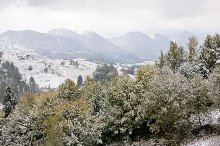 Framed Print : The Piatra Craiulu mountains, National Park in snow; southern Carpathians, Romania Framed Print : The Piatra Craiulu mountains, National Park in snow; southern Carpathians, Romania