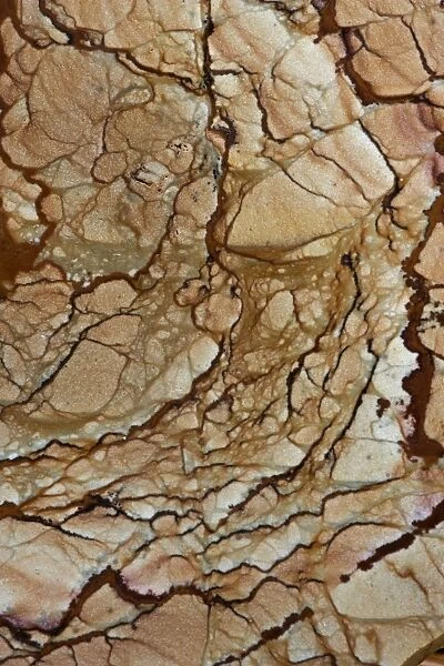Picture Jasper - Rocky Butte - mined in Owhiee Mountains - Oregon - USA