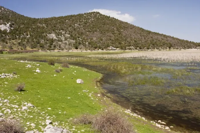 Framed Print : Picture No. 10756172 Framed Print : Picture No. 10756172
