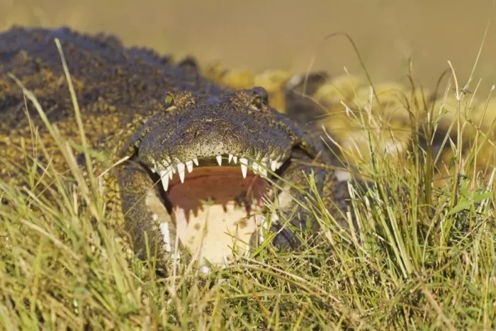 Framed Print : Picture No. 10761963 Framed Print : Picture No. 10761963