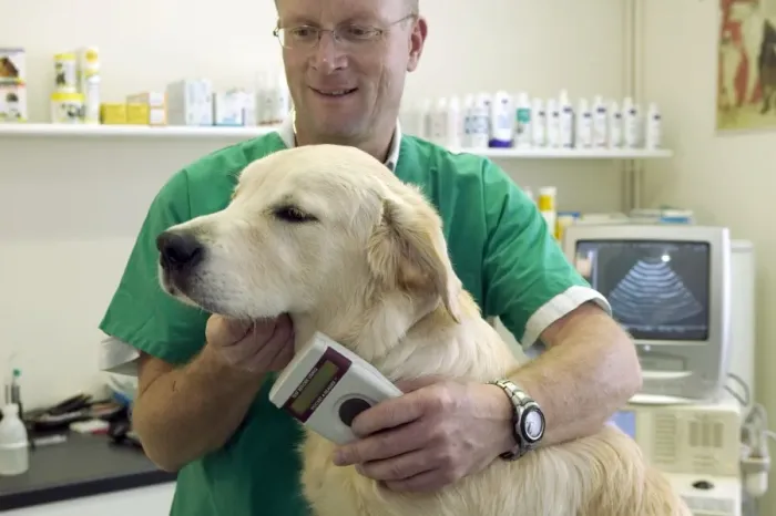 Framed Print : Picture No. 10769984 Framed Print : Picture No. 10769984