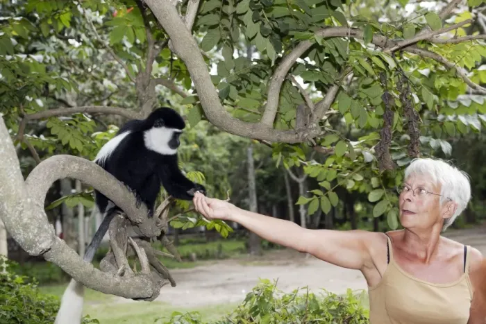 Framed Print : Picture No. 10778935 Framed Print : Picture No. 10778935