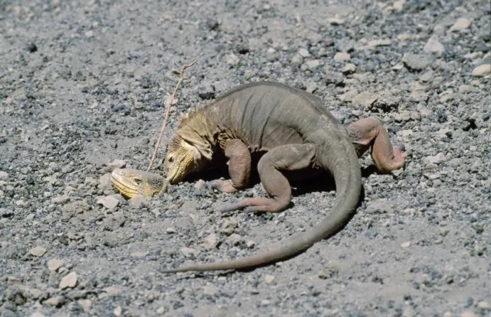 Framed Print : Picture No. 10848506 Framed Print : Picture No. 10848506