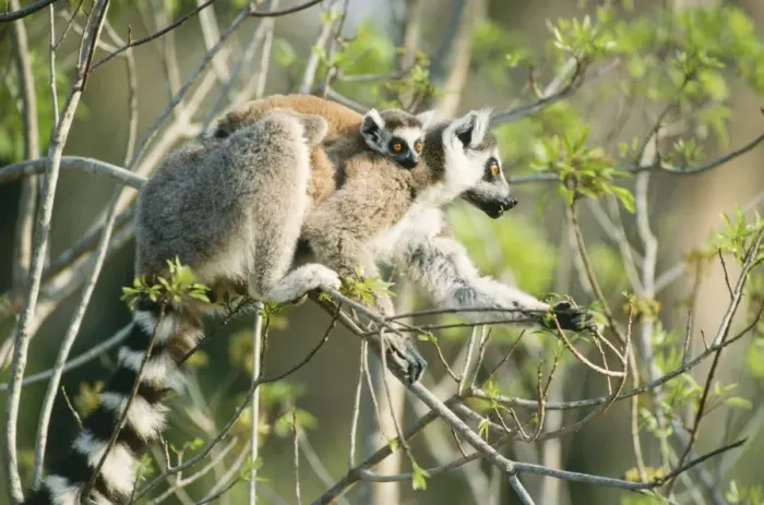 Framed Print : Picture No. 10848605 Framed Print : Picture No. 10848605