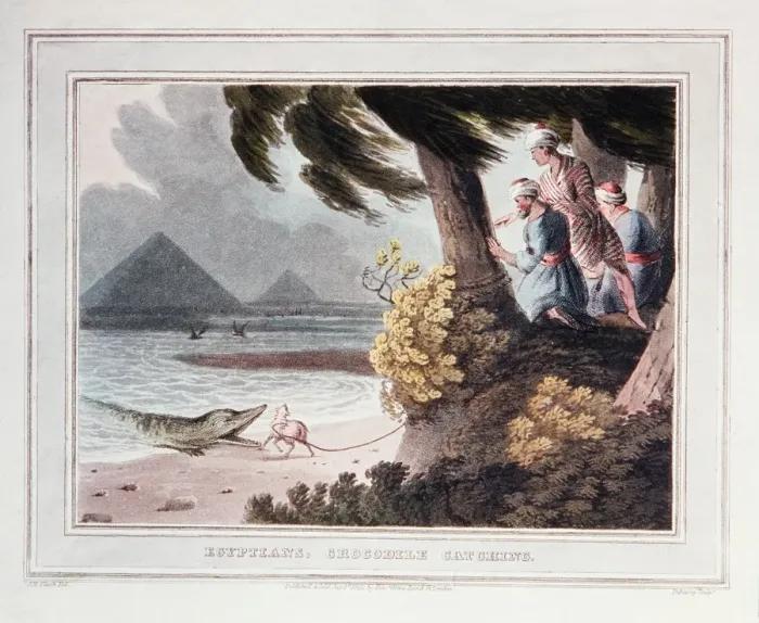 Framed Print : Picture No. 10855464 Framed Print : Picture No. 10855464