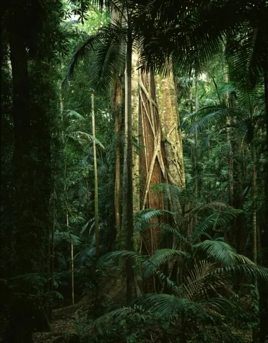 Framed Print : Picture No. 10863325 Framed Print : Picture No. 10863325