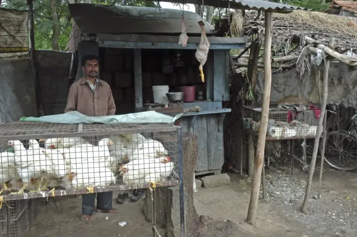 Framed Print : Picture No. 10864957 Framed Print : Picture No. 10864957
