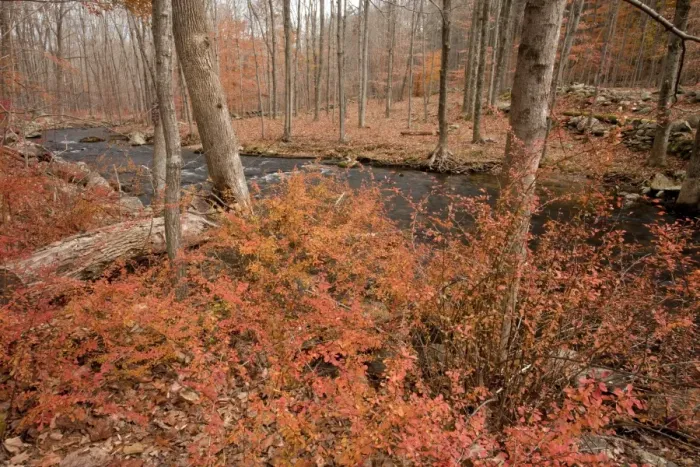 Framed Print : Picture No. 10887182 Framed Print : Picture No. 10887182
