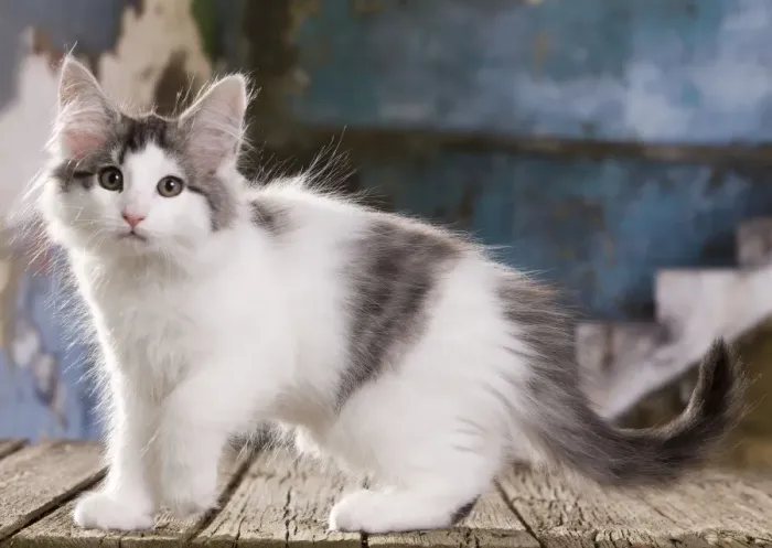 Framed Print : Picture No. 10887754 Framed Print : Picture No. 10887754