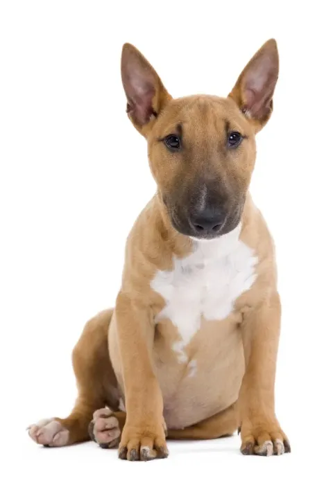 Framed Print : Picture No. 10888208 Framed Print : Picture No. 10888208