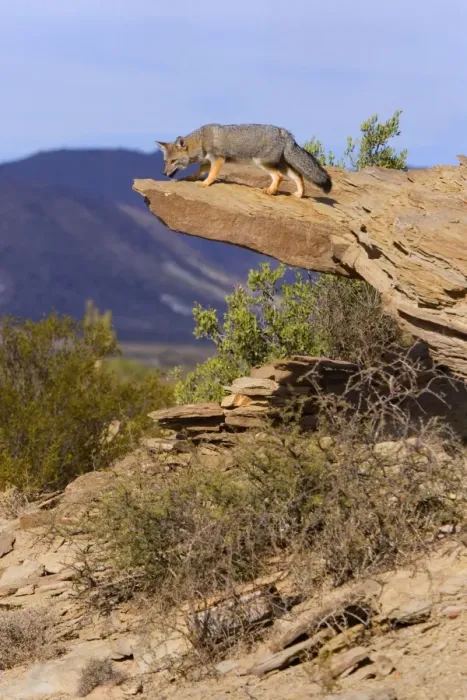 Framed Print : Picture No. 10889412 Framed Print : Picture No. 10889412