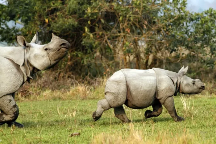 Framed Print : Picture No. 10889992 Framed Print : Picture No. 10889992