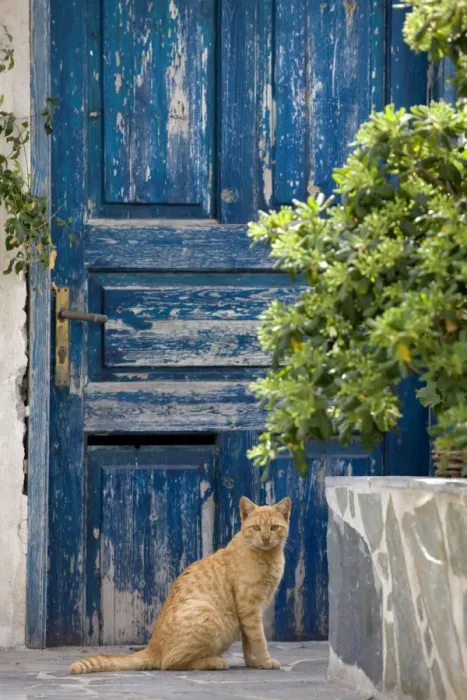 Framed Print : Picture No. 10890176