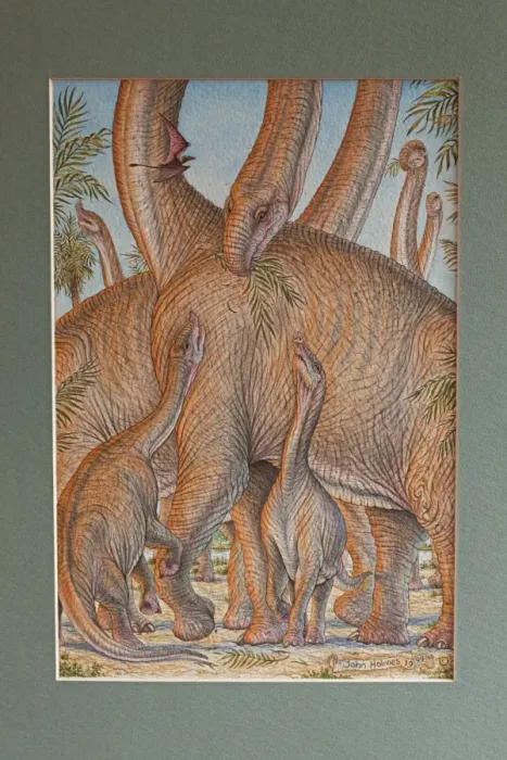 Framed Print : Picture No. 10890771 Framed Print : Picture No. 10890771