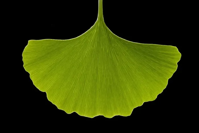 Framed Print : Picture No. 10891015 Framed Print : Picture No. 10891015
