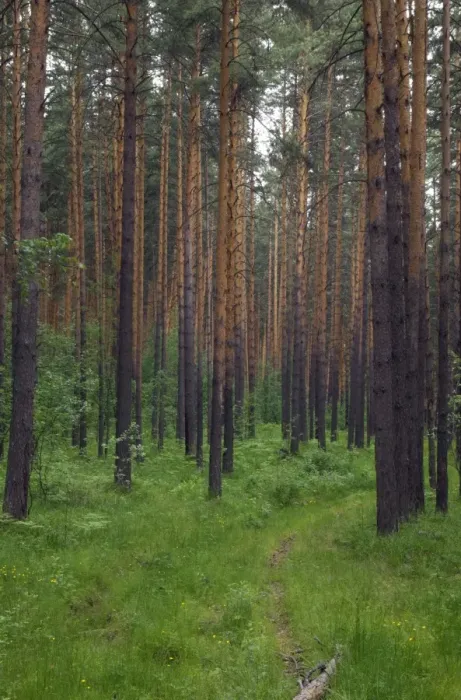 Framed Print : Picture No. 10891387 Framed Print : Picture No. 10891387