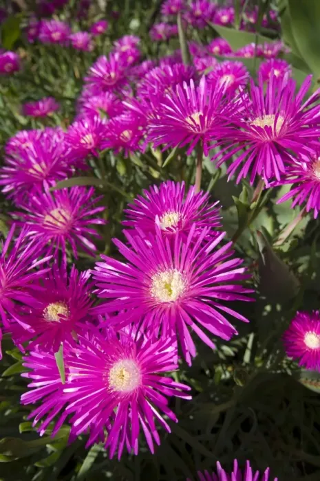 Framed Print : Picture No. 10891448 Framed Print : Picture No. 10891448