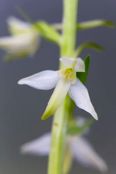 Framed Print : Picture No. 10893048 Framed Print : Picture No. 10893048