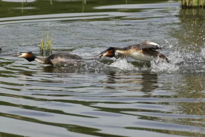 Framed Print : Picture No. 10893945 Framed Print : Picture No. 10893945