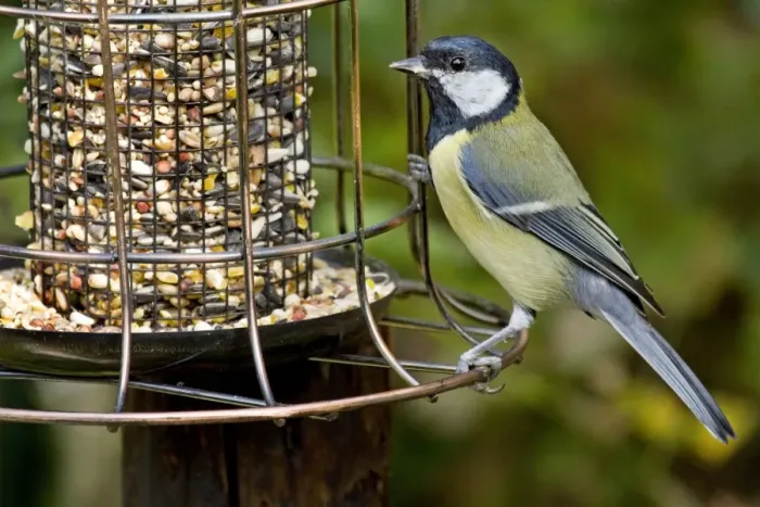 Framed Print : Picture No. 10894736 Framed Print : Picture No. 10894736