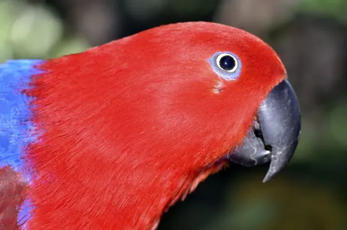 Framed Print : Picture No. 10894926 Framed Print : Picture No. 10894926